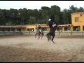 Ver Video