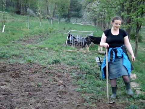 Homesteading (14): Spring planting and fruit trees (April 2010)