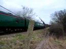 60019 Bittern on its way to Ropley