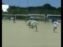 POLINHO