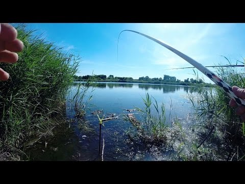 днепр ловля карася днепр ловля карася
