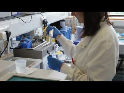 Newcastle University Mitochondrial Disease Research Team