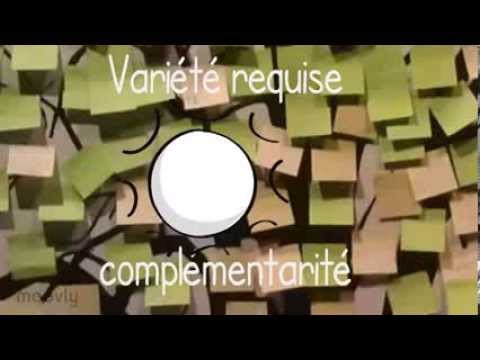 Image de prévisualisation YouTube