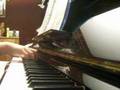 Piano Elthon John Your song