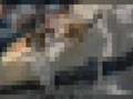 taner y�nc�o�lu ya�mur