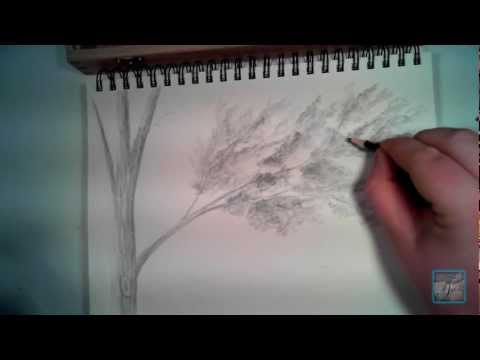 video-linktoworks-How to Draw Realistic Looking Leaves - YouTube
