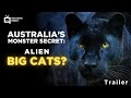 Animal X NMU Alien Big Cats Promo