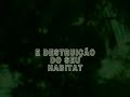 2006. Monocarvoeiro \"Muriqui\" no Itatiaia