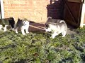 04012010001.MP4