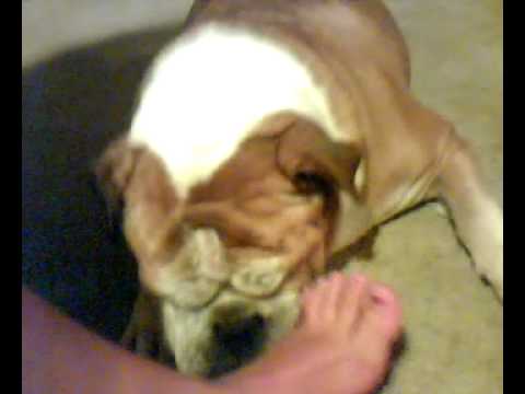 lick feet