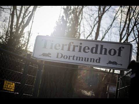 Dortmund Tierfriedhof Dortmund Image-Film