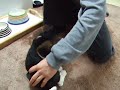 Kaiser The Beagle - Beagle Puppy First 