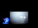 Re: UFO Interstellar Video Footage
