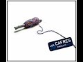Los Cafres - Loco (BARRILETE)