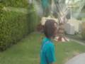 videos de My Montage 11/22/08