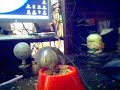 Seargent Beakers
