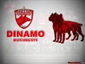 Eu ţin cu Dinamo