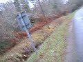 chasse aux chiens courants 6