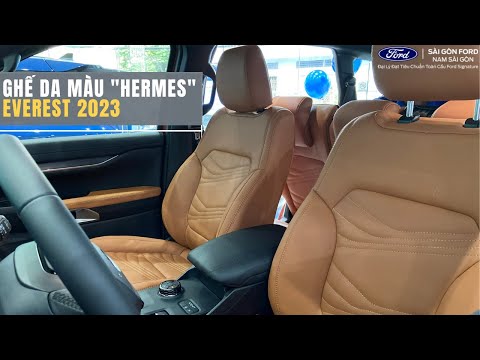 CHIÊM NGƯỠNG GHẾ DA MÀU 