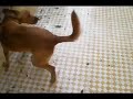 peyi.mov