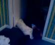 Gavin Stojak Drunk - Also watch Post Interview