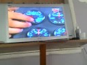 NASCAR SPEEDOMETER