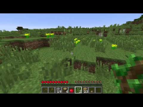 Minecraft Biomes: Plains