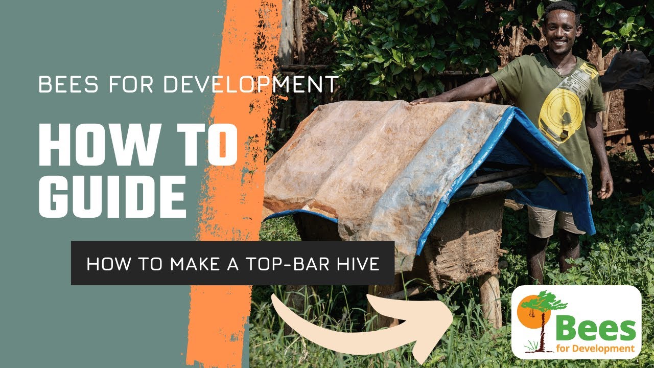 How to Make a Top Bar Hive