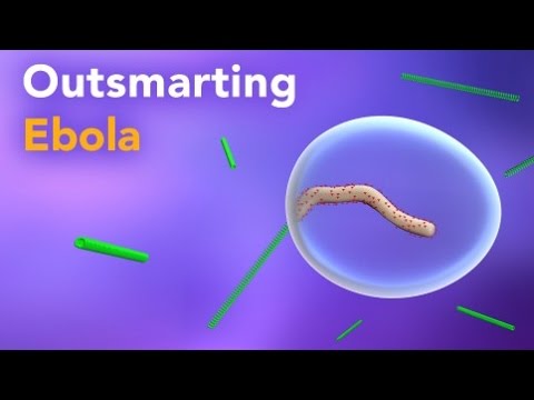 how to treat ebola disease