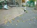 Mati chasing a bird (Part 1)