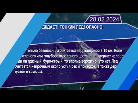 Новостная лента Телеканала Интекс 28.02.24.