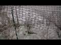January Ice Storm in fairfield County, CT 720p January Ice Storm in fairfield County, CT 720p