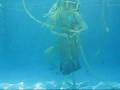 videos de secrets del mar parte 01.MPG