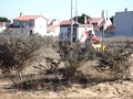 C�tia Ars�nio