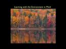 Learning and Ecology