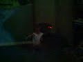 Casey!!! Future Dancing with the stars!!!!!!
