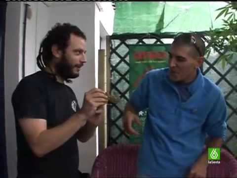 See video See video