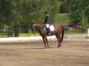 Dressyr Bor�s 080608 �stadkulle RK