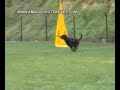 RCI III - Training