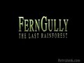 FernGully The Last RainForest
