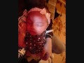Leanna Jazlene Smith 122208