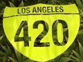 Medical Pot Expo