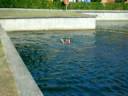 videos de salto in acqua ad albarella