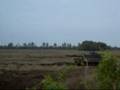 videos de Panzer Leopard A2