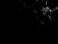 TOM NOVY at Living Room Tirana