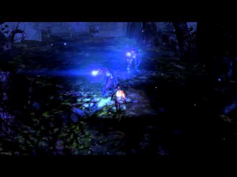 Picture from Anjali of Dungeon Siege III