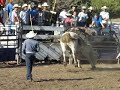 Kito en el rodeo rancho macias