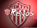 necaxa
