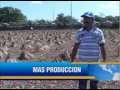 GOBIERNO DUPLICA PRODUCCI
