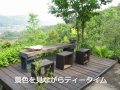 Click here to watch this video 崖っぷちオープンガーデンＮ庭